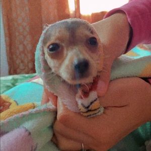 Meet your Posher, Karina